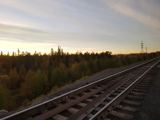 Naklejka premium Popędzać