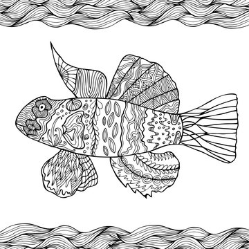 Hand drawn stylized fish with doodle, zentangle, floral, vintage elements with waved pattern frame. Coloring page for  coloring book for adults. Isolated on white.