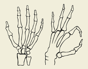 set of Skeleton hand