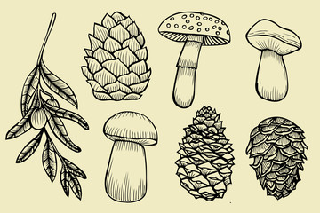 Set of edible mushrooms.
