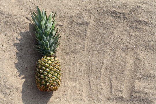 Pineapple fruit lying on a beach sand, empty copy space background, top view