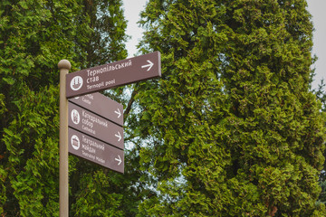 Tourist street sign on a background of green thuja. Street pointer.