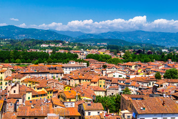 Naklejka na ściany i meble View over Italian town Lucca with typical terracotta roofs