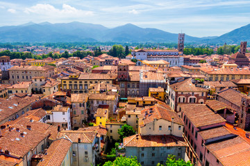 Fototapeta na wymiar Aerial view of Lucca (Tuscany, Italy) during a sunny afternoon