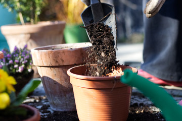 putting soil to the flower pot by shovel, gardening in spring season, using potting soil during...
