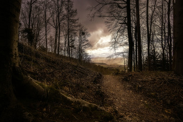 Licht am Ende des Tunnels