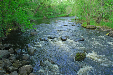 creek with rocks