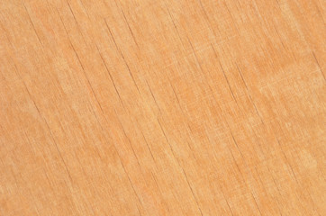 Naklejka premium Wooden textured background