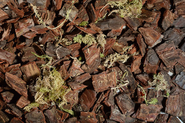Tree, soil for orchids, pine bark, cut pine bark, prepared bark for planting orchids