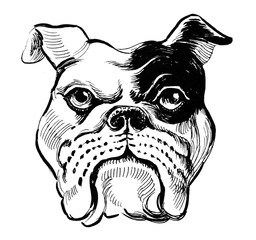 Bull dog head