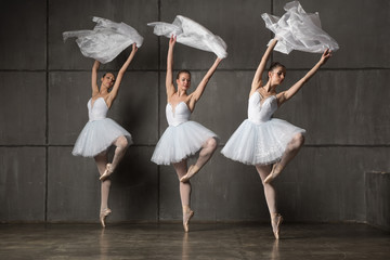 Ballerinas in white costume performing classical ballet exercise