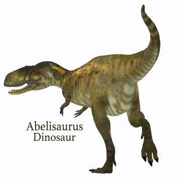 Abelisaurus Dinosaur Tail with Font - Abelisaurus was a carnivorous theropod dinosaur that lived in Argentina in the Cretaceous Period.