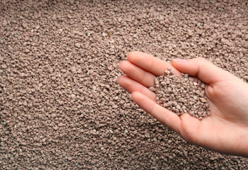 Female hand holding cat litter