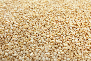 Raw quinoa seeds background