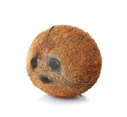 Coconut on white background