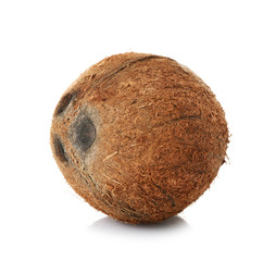 Coconut on white background