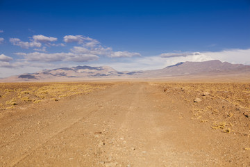 Atacama Desert. Chile