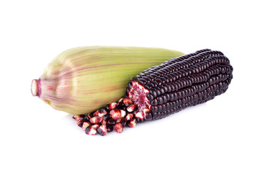 uncooked purple corn on white background