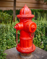 Fototapeta na wymiar fire hydrant bright red in green bushes