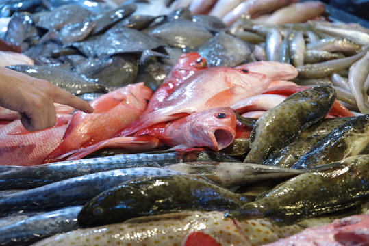 Fresh Fish At Wet Market