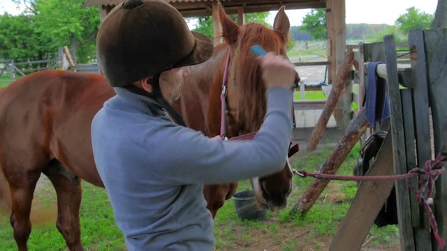 The man comb the mane of a brown horse