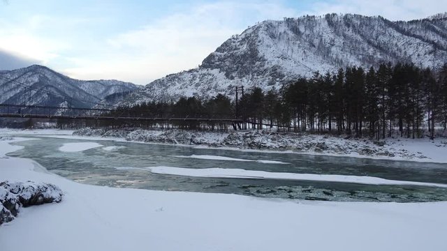 Floating of ice and sludge in water under bank with pine forest near Altai river Katun in winter season