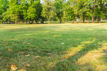Beautiful Public green park ,Vachirabenjatas Park (Rot Fai Park) Bangkok Thailand.