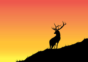 Silhouette of an animal