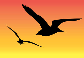 Silhouette of an animal
