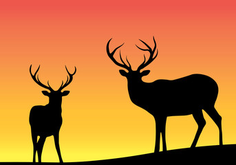 Silhouette of an animal