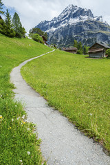 Landscape of Grindelwald Village in Berner Oberland, Switzerland