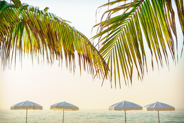 White Umbrella Beach with Coconut Leaf, Sunrise Morning Beach in Summer.