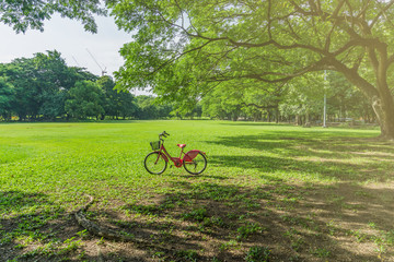 Bicycles in Public green park at Vachirabenjatas Park (Rot Fai Park) Bangkok, Thailand