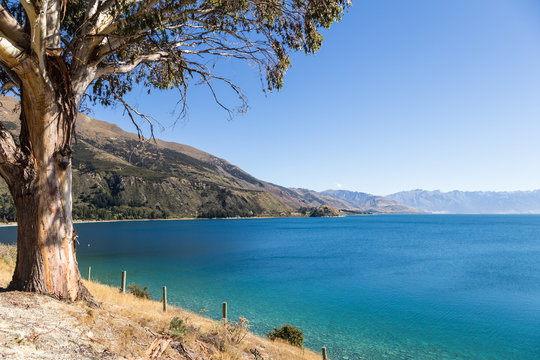 Stunning Hawea lake in New Zealand