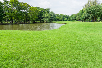 Obraz premium Beautiful Public green park at Vachirabenjatas Park (Rot Fai Park) Bangkok, Thailand