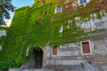 Fototapeta na wymiar Old stone building covered with ivy