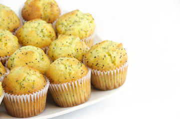 fresh baked small lemon muffins in white plate isolated on white background