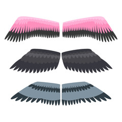 Wings isolated animal feather pinion bird freedom flight and natural hawk life peace design flying element eagle winged side shape vector illustration.