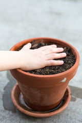 Kinderhand auf Blumentopf