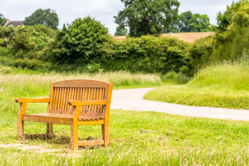 Bench in the park on footpath background