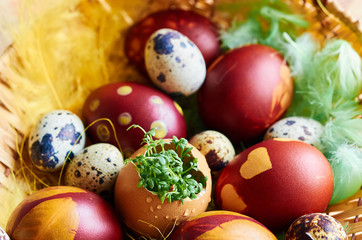 Easter eggs on the plate