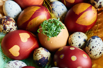 Easter eggs on the plate