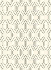 Seamless Hexagon Pattern. Vector Monochrome Chaotic Background