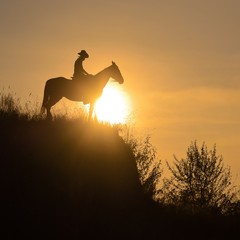 Silhouette of a guy sitting astride a horse over the edge of a cliff in the rays of the sun.