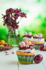 Closeup of Easter nest shape cupcakes on white background