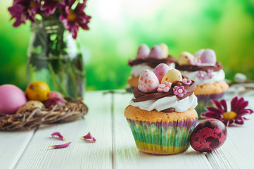 Closeup of Easter nest shape cupcakes on white background; selective focus