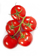 Red tomatoes on a green branch
