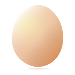 Egg on white background, vector  illustration