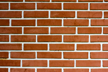 Brick and tile texture and background