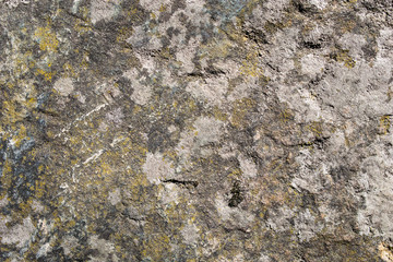 Stone texture